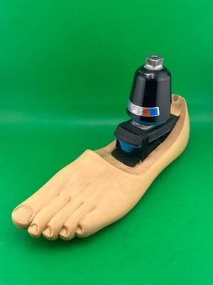 Endolite Blatchford Multiflex Multi-flex Prosthetic Foot, left