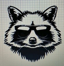 Raccoon Decal