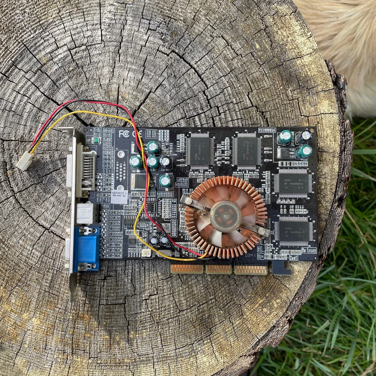 NVIDIA NVIDIA GeForce 4 MX 440 NVIDIA Computer Graphics Cards for