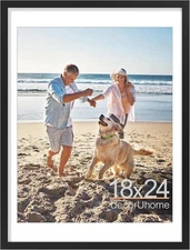 2 Pack decorUhome Picture Frames 18x24 Black Wall Hanging Poster Frame