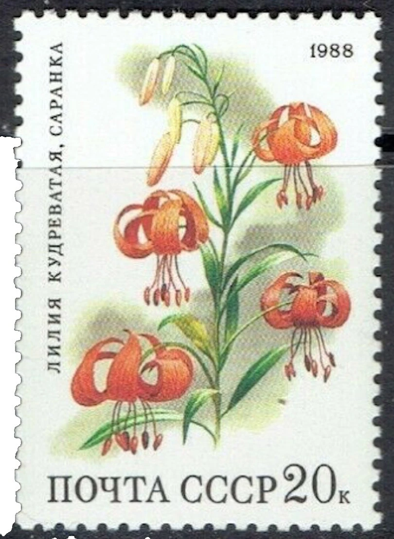 Mint Never Hinged/MNH Flowers Russian & Soviet Union 1981-1990 Year of Issue Stamps