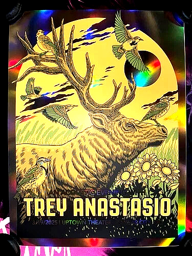 OFFICIAL Trey Anastasio Acoustic RAINBOW FOIL AP POSTER Kansas City MO 2025 #/25 - Picture 5 of 7