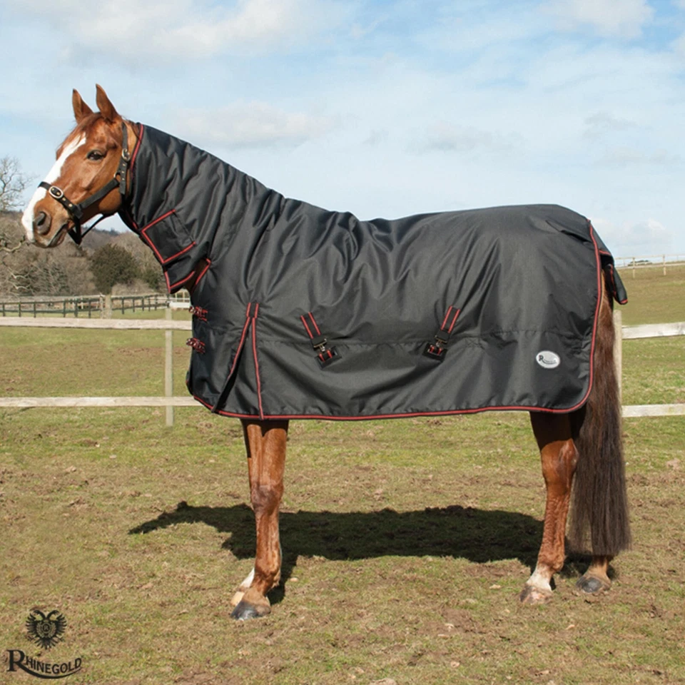 Schwere Weidedecke Rhinegold Aspen Full Neck Outdoor Teppich 1000 Den