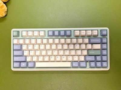 Varmilo Minilo 75% TKL US Kailh Prestige Silent Wireless Eucalyptus Used Tested
