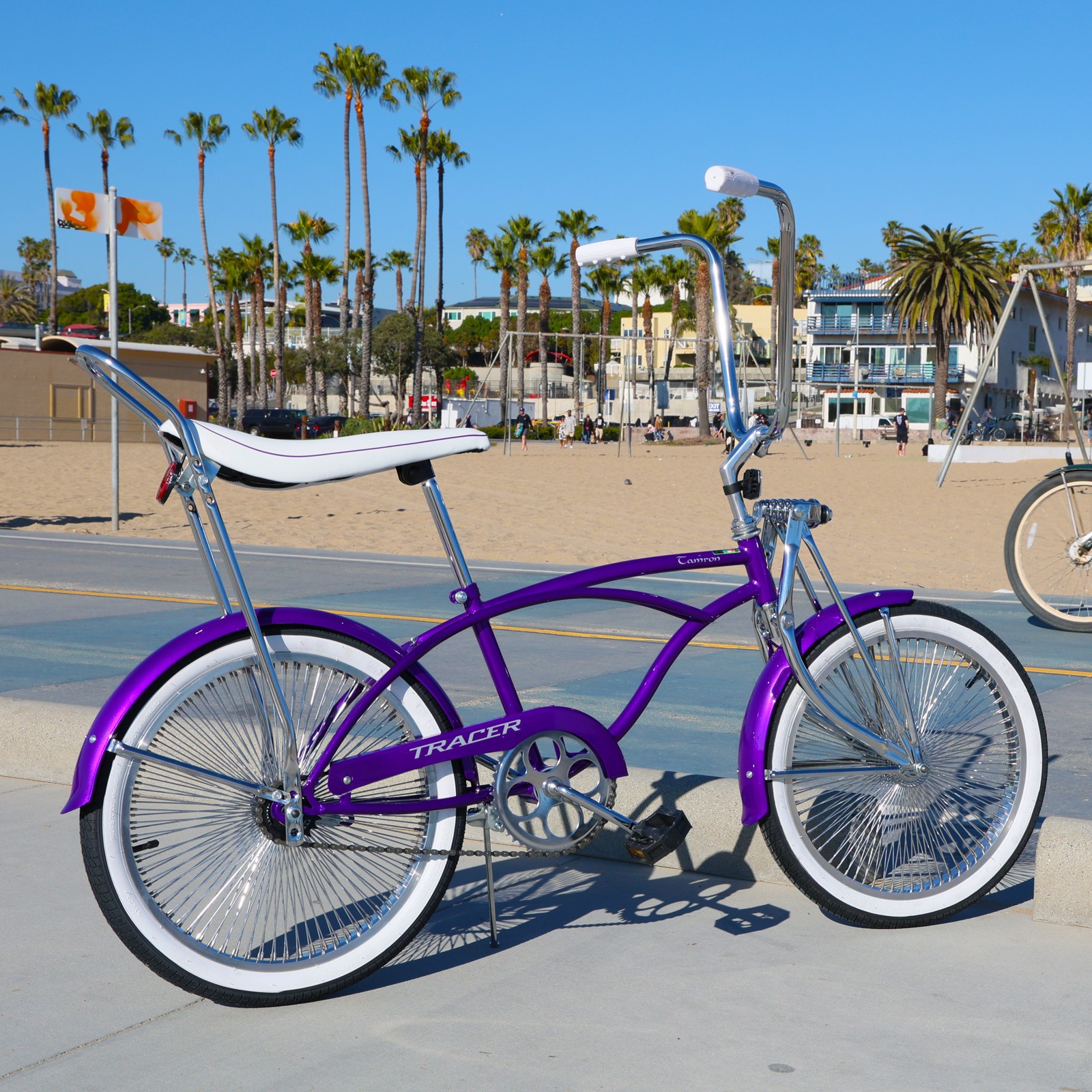 Bicycle Classic 1 Speed Girl Gift