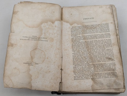 1844 Umrisse der Geologie JL Comstock Antik Christliche Wissenschaft Lehrbuch Schöpfung - Bild 10 von 24