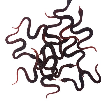 50PC Realistische Gummi Spielzeug Schlange Schwarze Gefälschte Schlangen