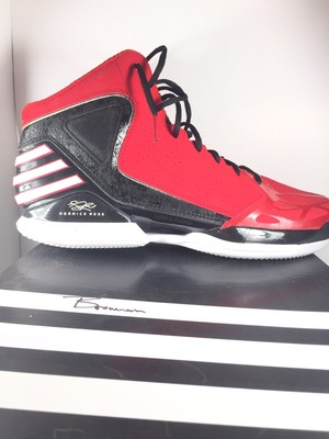 derrick rose 773