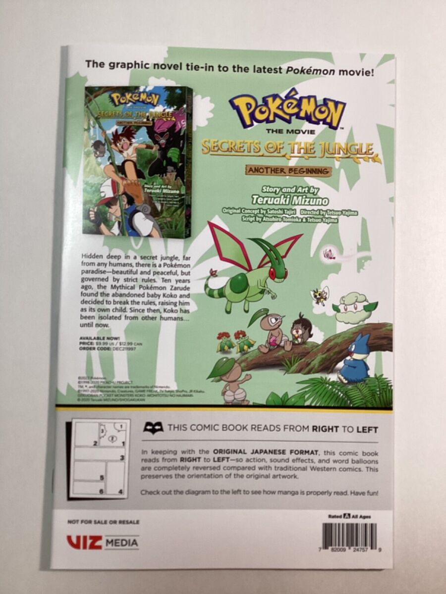 VIZ  Read a Free Preview of Pokémon Journeys, Vol. 2