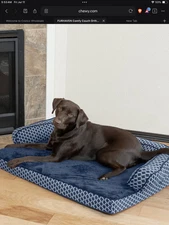 New FurHaven Comfy Couch Orthopedic Bolster Dog Bed,  Diamond Gray, Jumbo