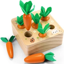 Wdmiya Montessoritoys for 1 Year Old, Wooden Toys Developmental Shape Sorting &