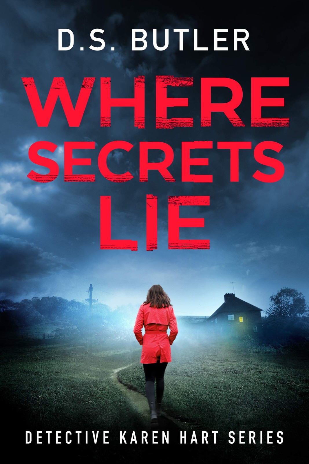 Where Secrets Lie by D. S. Butler - - Image 4
