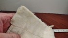 Bild 8 von 13