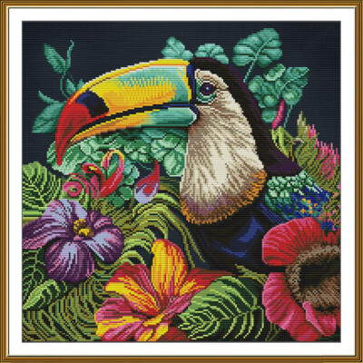 Counted cross stitch kit DIY unprinted canva Color toucan embroidery 2321