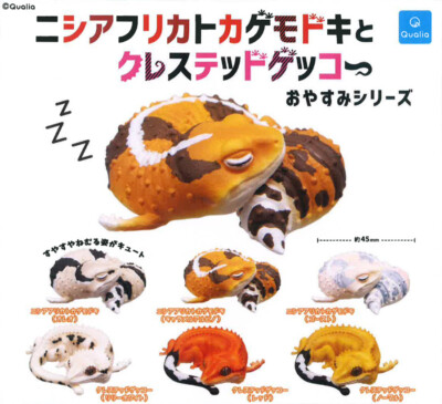 West African Fat-tailed Gecko and Crested Gecko Good Night Mini