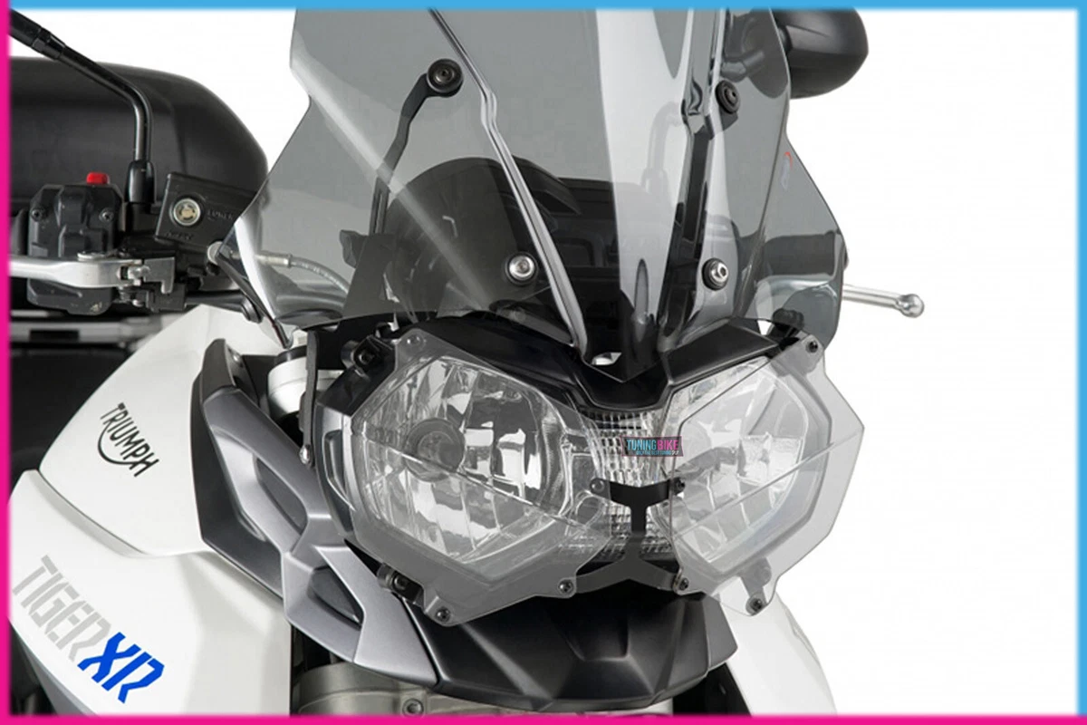 Puig 2024 tiger 800