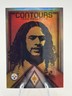 2022 Panini Phoenix - Contours Troy Polamalu #CT-8