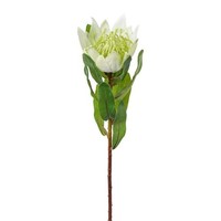 artplants Kunstblume KöNigs Protea Wanba, Weiß, 50Cm