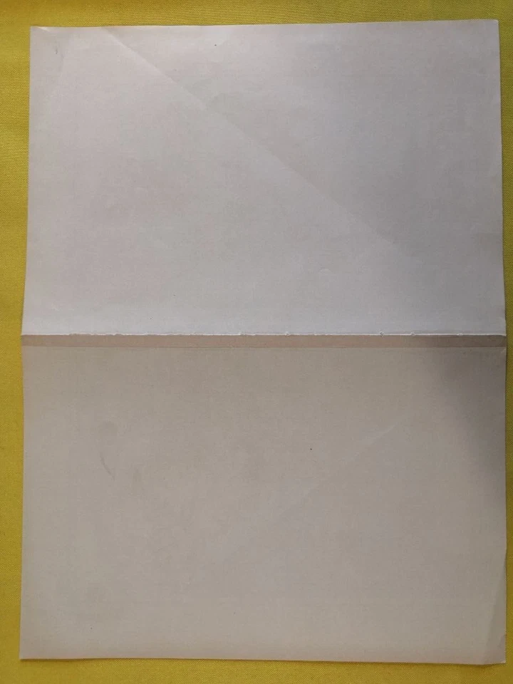 1924 POLAND Vintage Large Geographical Map ORIG Italian 12.5 x 10.5" C13-1 - Image 3 of 3