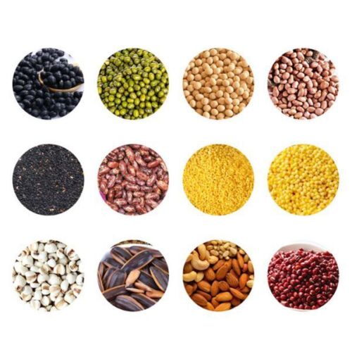 220V 800g Capacity Electrical Coffee Bean Roaster Coffee Roasting Baking Machine - Bild 3 von 6