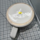 Foto 7 di 7