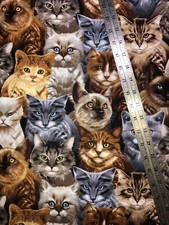 Cats All over Timeless Treasures Cotton Fabric 1/2 Yard 18 By 44   New