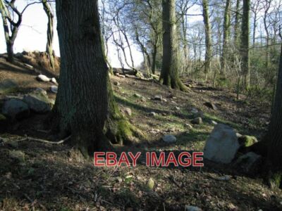 PHOTO  ROCKS IN COLLEGE COPPICE  2012