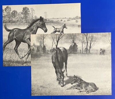 2 C W ANDERSON VINTAGE 1946 MARE FOAL HORSE PRINTS BOOKPLATE RACE HORSE RACING