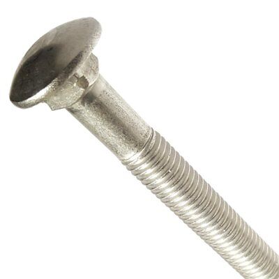 3/8-16 X 3 Stainless Steel Square Neck Carriage Bolts Pack of 12 