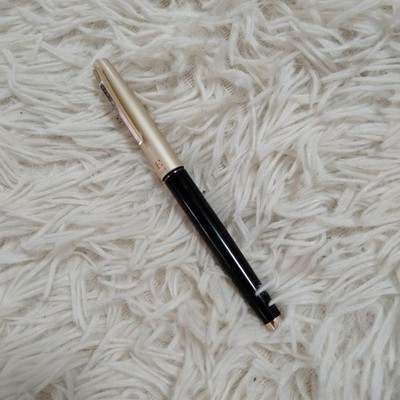 Pilot E Series 14k Gold Nib Fountain Pen Script Cap Japan