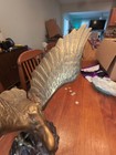 Picture 4 of 13