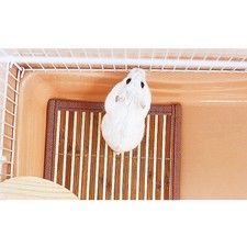 2 Stück Kleines Haustier Kaninchen Hamster Sommer Kühlkissen Schlaf