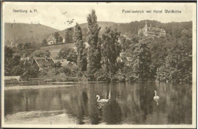 40281361 Ilsenburg Harz Ilsenburg Hotel Teich x 1929 Ilsenburg eBay