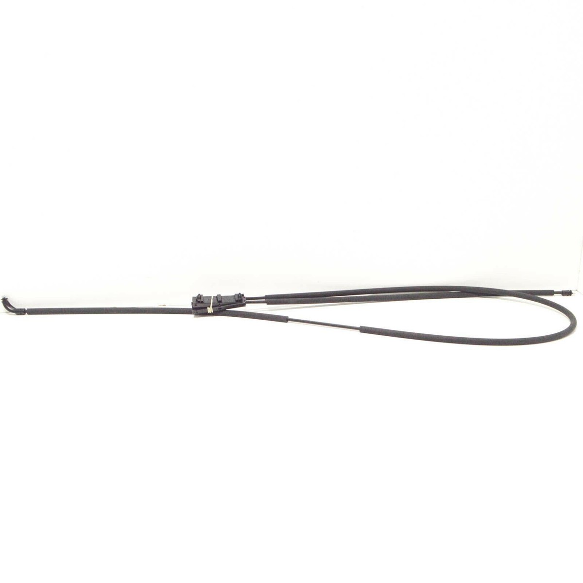 フレンジークイーン白箱あり