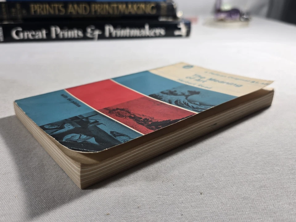 The Meaning of Art Herbert Read 1963 Pelican Paperback Vintage 64 Plates Book  Foto 3 de 4