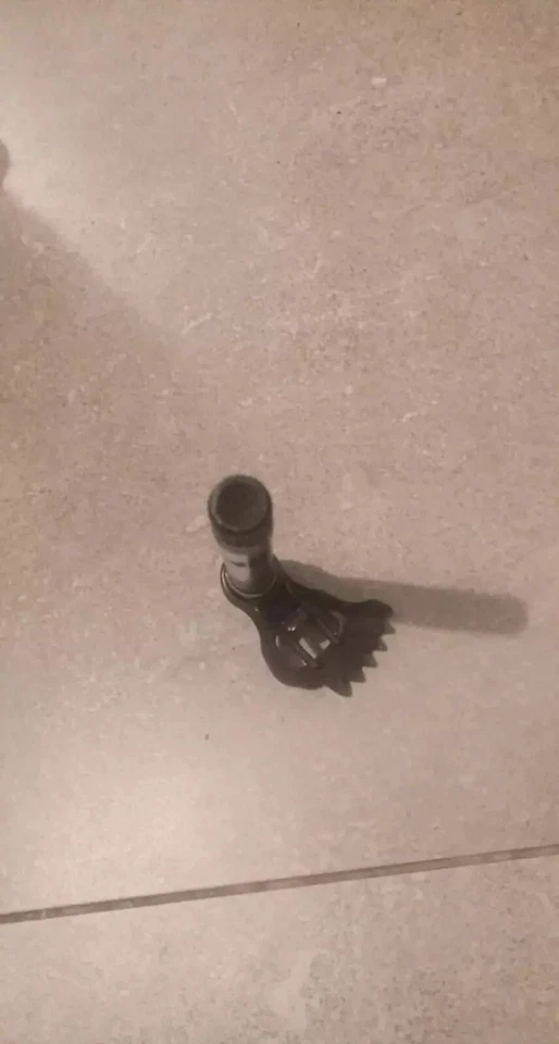 Caja de cambios eje de cambio Suzuki rmz 450 05-07 Foto 3 de 4