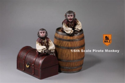 MR.Z 1/6 Pirate Monkey Bucket Box Sets Figure Animal Model Collector Decor Toy