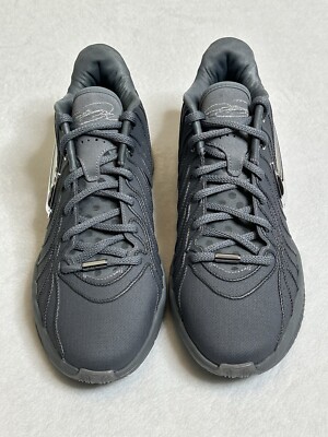 Nike LeBron 21 Resilience Cool Gray Metallic Silver HF5353-001