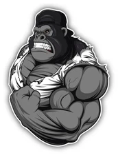 Muscular Gorilla Mascot Car Bumper Sticker Decal 4'' x 5''