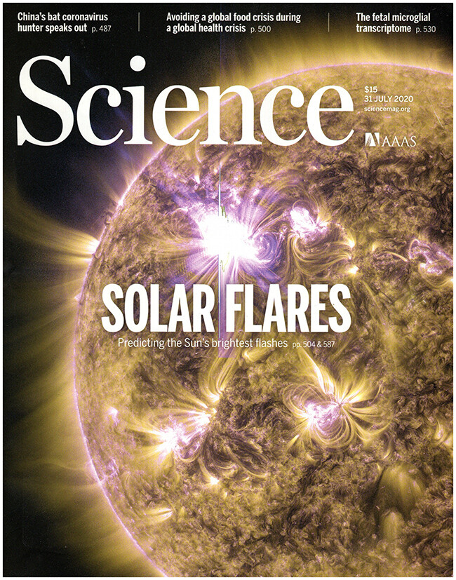 Explore Vol 369 Issue 6503 of Science Magazine from July 31 2020
