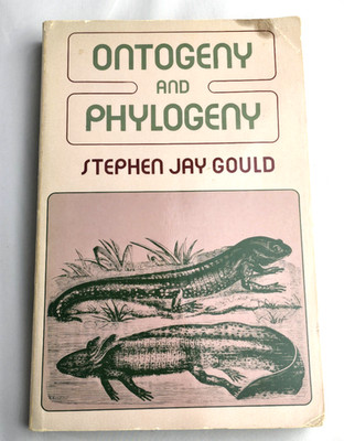 Ontogeny And Phylogeny Stephen Jay Gould 1977 Harvard College Softcover