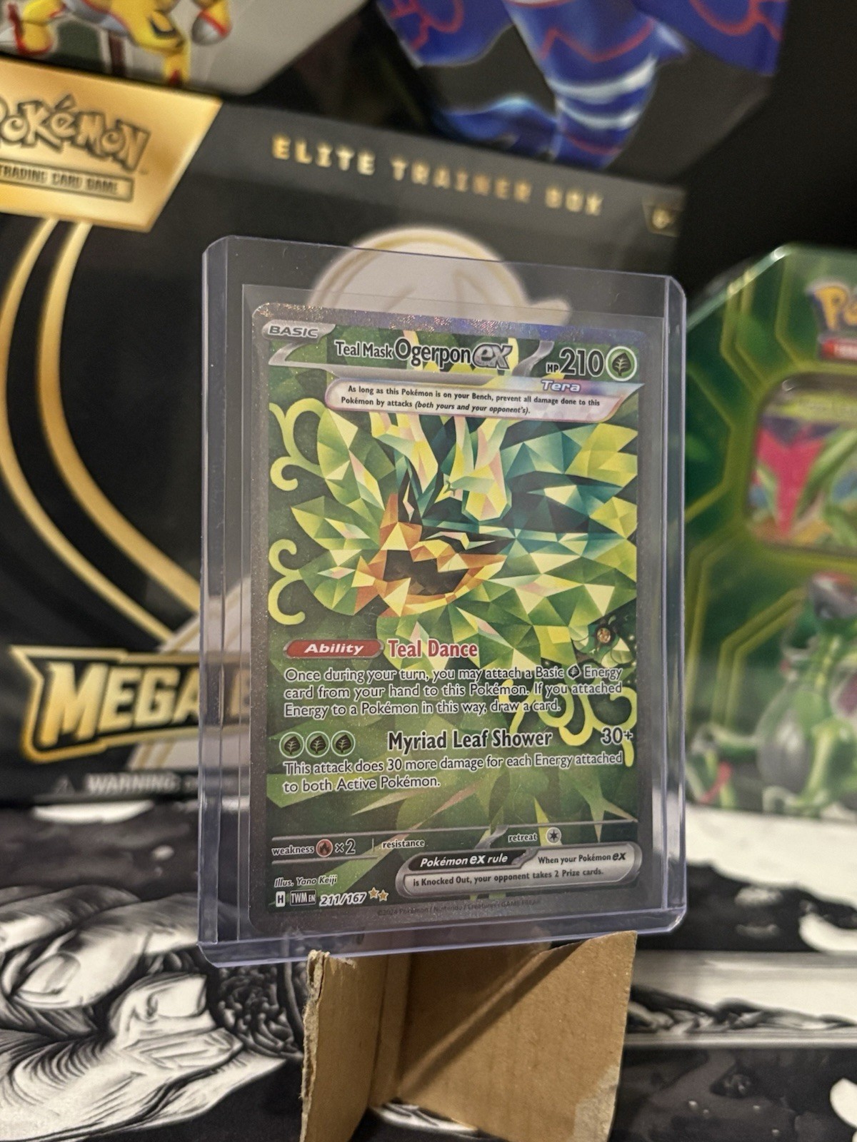 Pokémon TCG Teal Mask Ogerpon EX 211/167 Twilight Masquerade Sir NM Condition