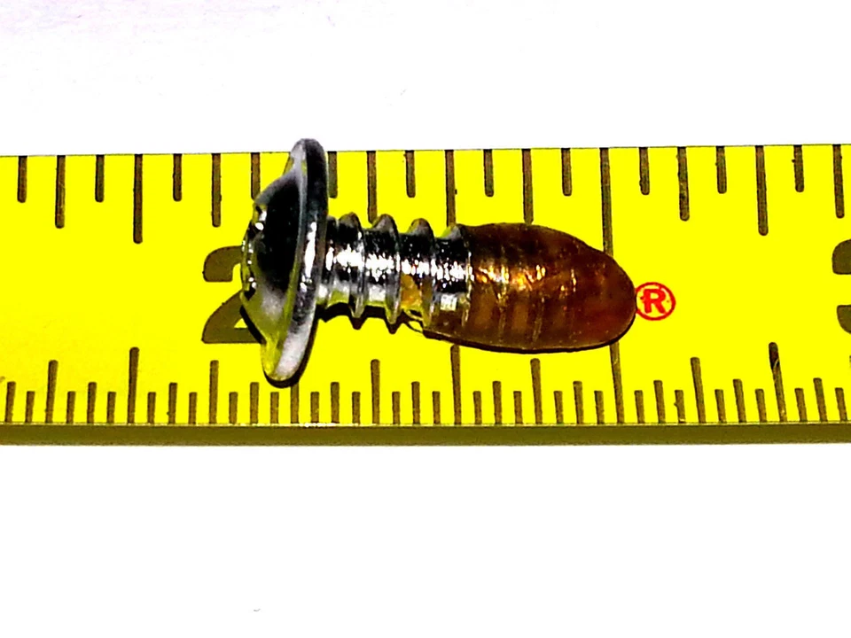 Moldura de tablero de rejilla de carrocería Ford #8x1/2" tornillos con sellador 25 piezas C Foto 3 de 4