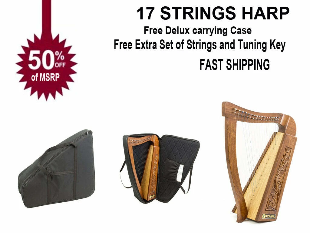 Knee harp 2024