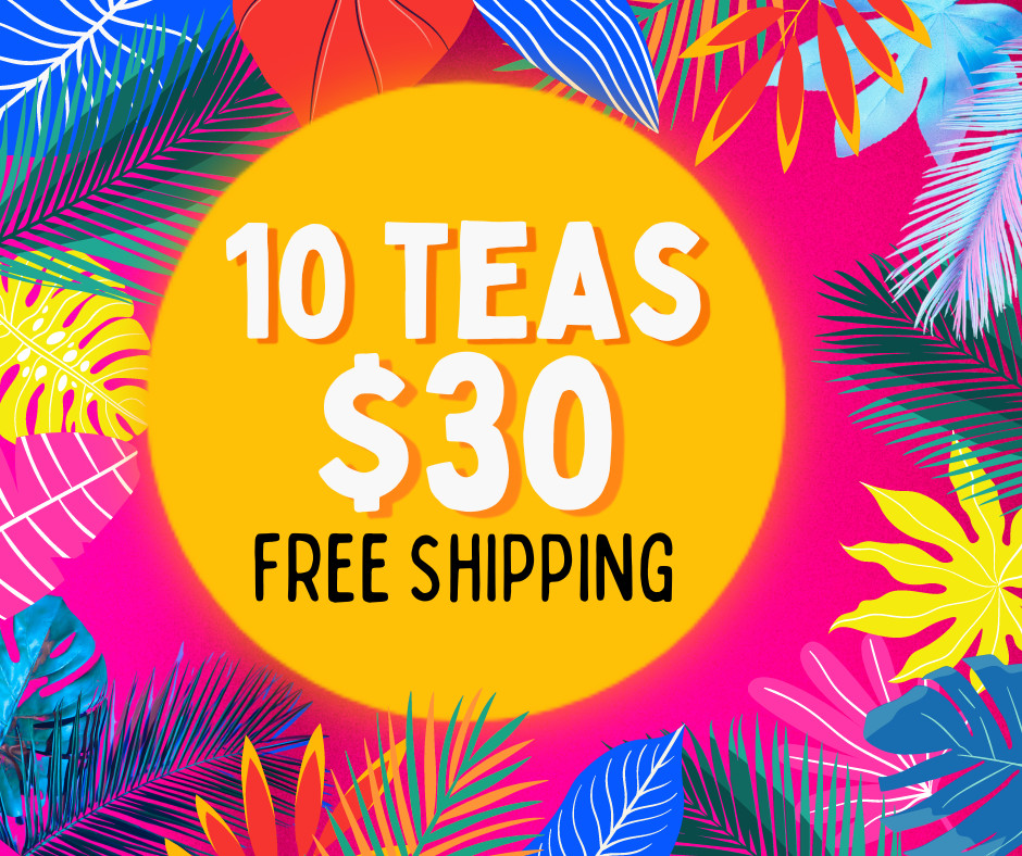 Bundle Best Seller Flavors Pack Of 10 Boosted Energizing Invigorating