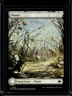 2024 Magic MTG Bloomburrow Plains Foil #262
