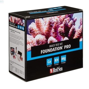 red sea reef foundation