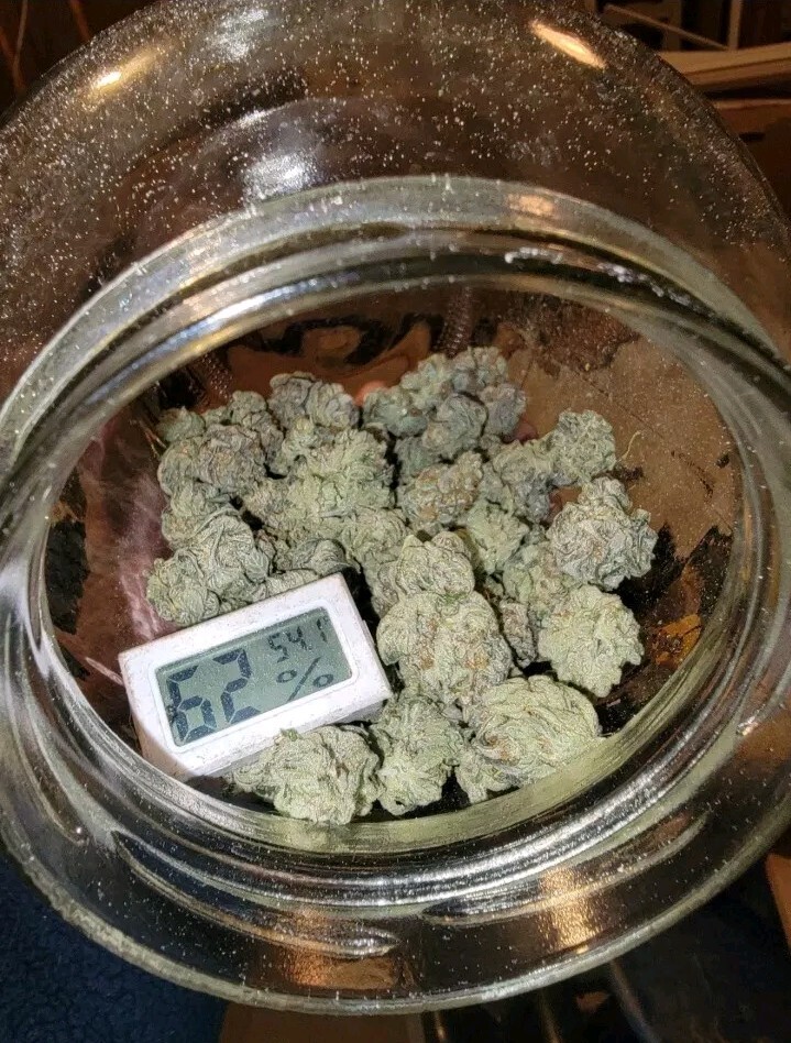Picture 1 of 15