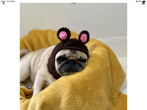 Handgestrickte schwarze funkelnde große Bommel Sturmhaube kleine Hunde, kleine Mops usw. - Bild 6 von 12