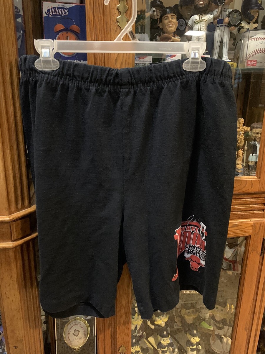 レア　新品　NIKE JORDAN BULLS 23 ショートパンツ　L レア 新品 NIKE JORDAN BULLS 23 ショートパンツ L